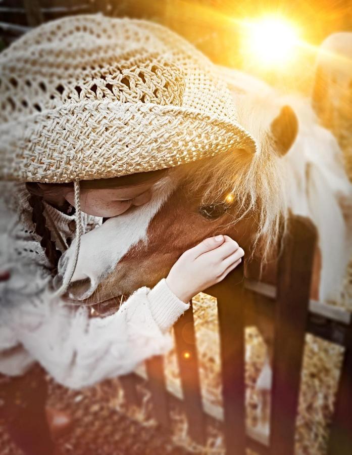 The Stable Annexe & Spa دوغدايك المظهر الخارجي الصورة